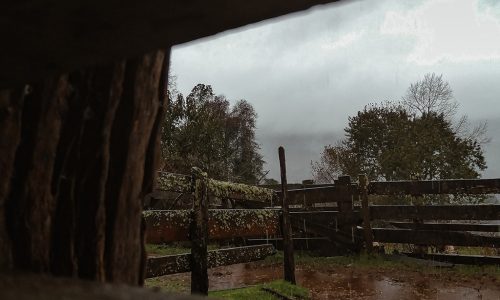 CORRAL