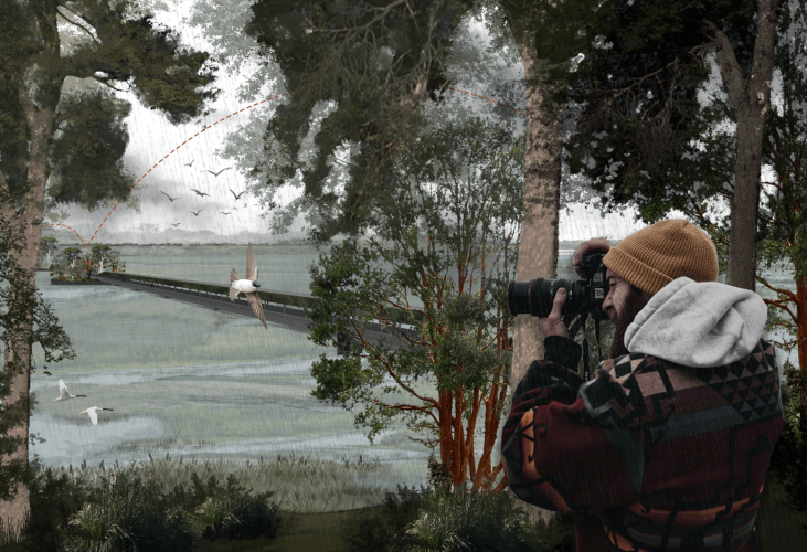 Captura-de-pantalla-2024-07-21-145546-min