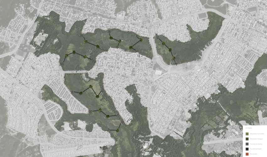 Captura-de-pantalla-2024-07-21-150539-min