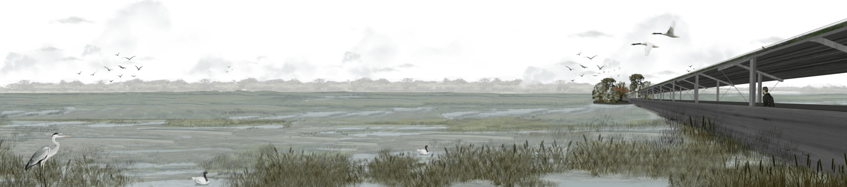 Captura-de-pantalla-2024-07-21-150758