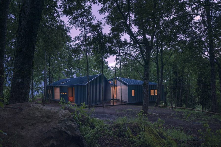 Casa Bosque_Acceso 2