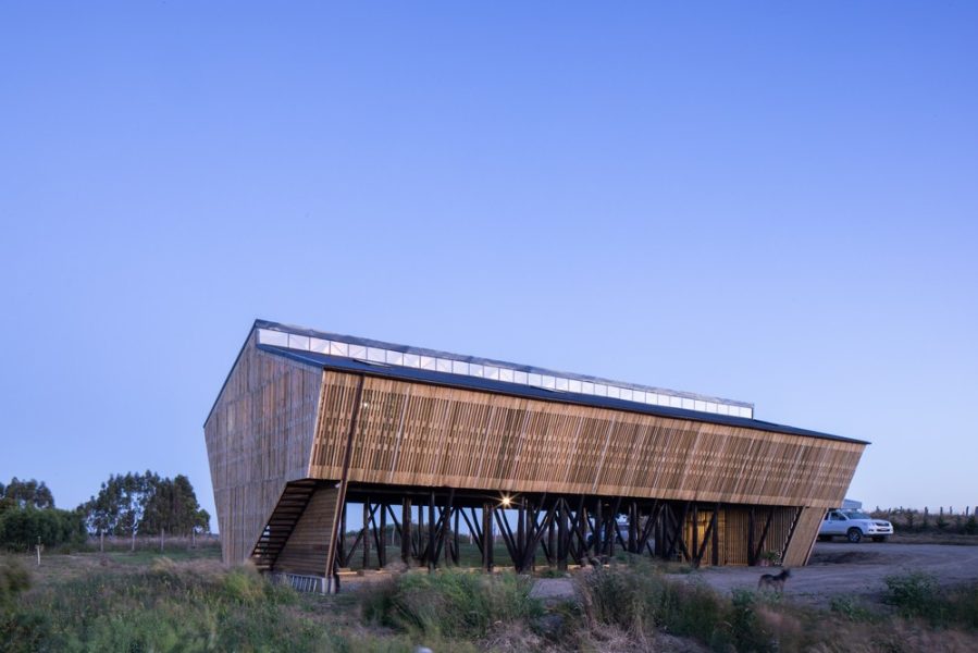 Casa-para-invitados-Chonchi-2