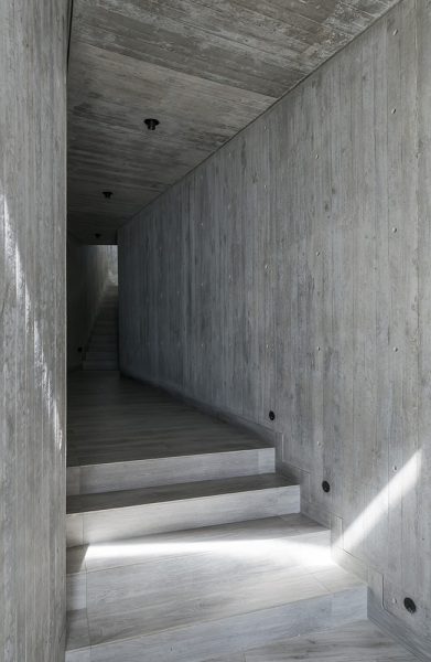 ChileNov23_3227_72dpi_1000px