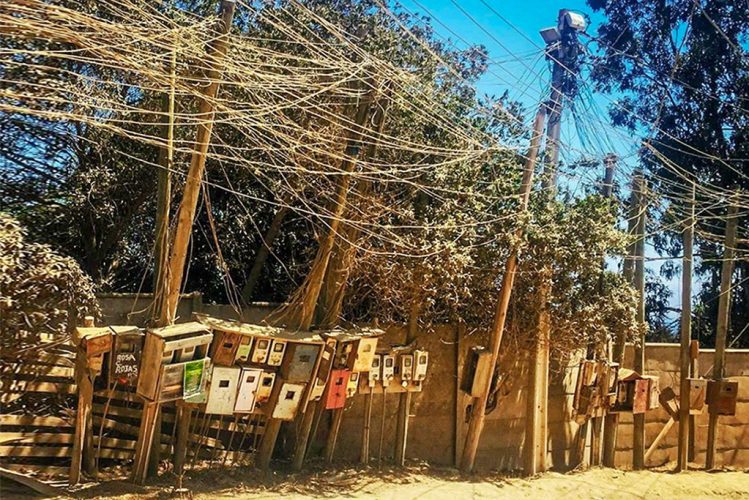 Conectados con la Madera