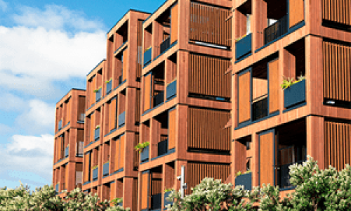Construccion-y-diseno-arquitectonico-avanzados-con-madera
