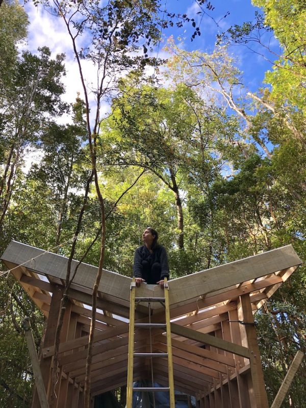 Construcción_PABELLON-CHUCAO-4-TERCIADOS