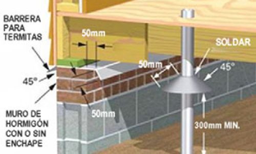 Control-de-termitas-(2008)