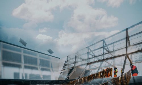 DIS495_Imagen-Principal