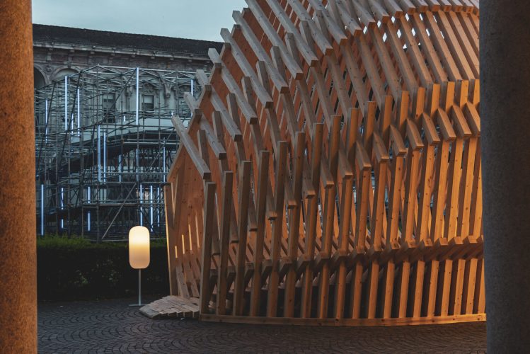 Echinoidea_GG-loop_RubnerHaus_01