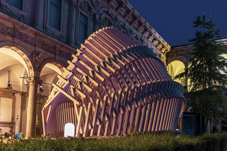 Echinoidea_GG-loop_RubnerHaus_02