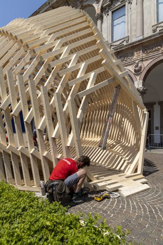 Echinoidea_GG-loop_RubnerHaus_06