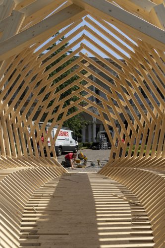 Echinoidea_GG-loop_RubnerHaus_07