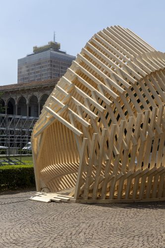 Echinoidea_GG-loop_RubnerHaus_08