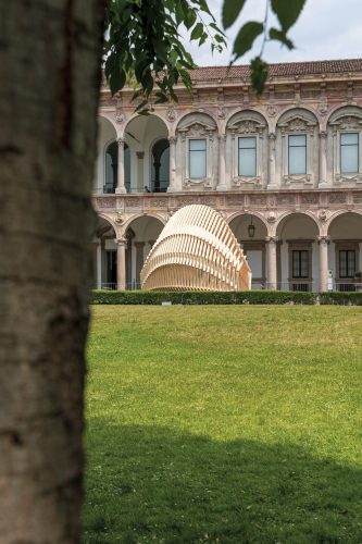 Echinoidea_GG-loop_RubnerHaus_09