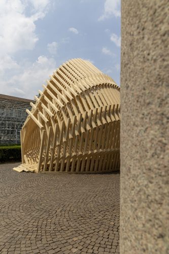 Echinoidea_GG-loop_RubnerHaus_10