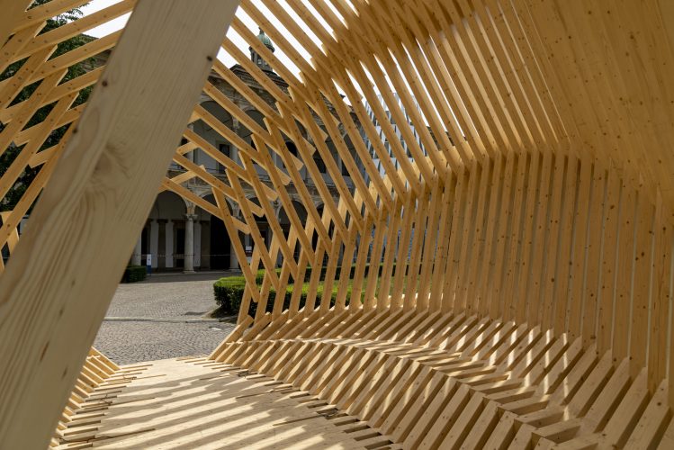 Echinoidea_GG-loop_RubnerHaus_11