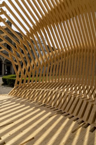 Echinoidea_GG-loop_RubnerHaus_12