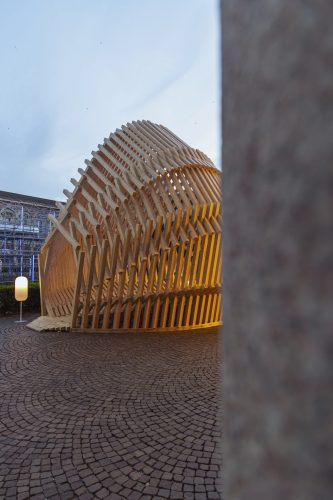 Echinoidea_GG-loop_RubnerHaus_14