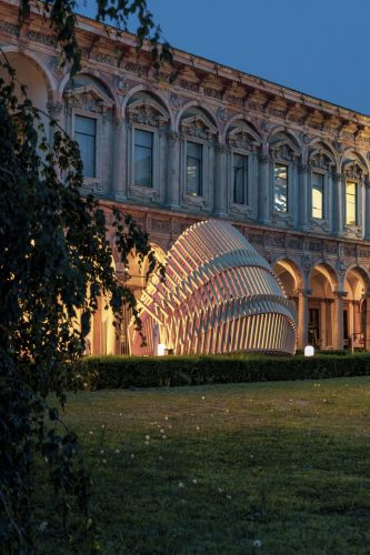 Echinoidea_GG-loop_RubnerHaus_15