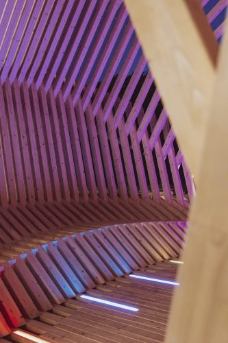 Echinoidea_GG-loop_RubnerHaus_17
