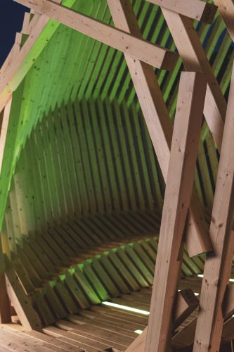 Echinoidea_GG-loop_RubnerHaus_18