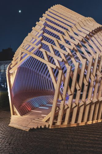 Echinoidea_GG-loop_RubnerHaus_21