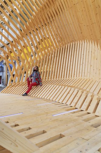 Echinoidea_GG-loop_RubnerHaus_22