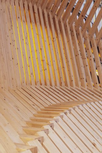 Echinoidea_GG-loop_RubnerHaus_24