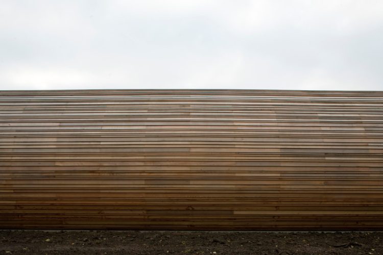 Establo para ovejas 11