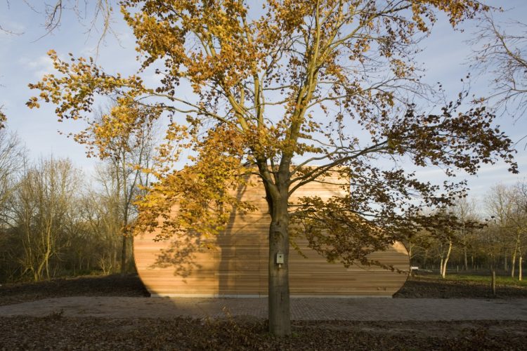 Establo para ovejas 4