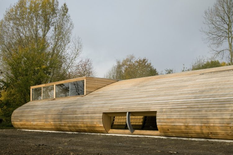 Establo para ovejas 8