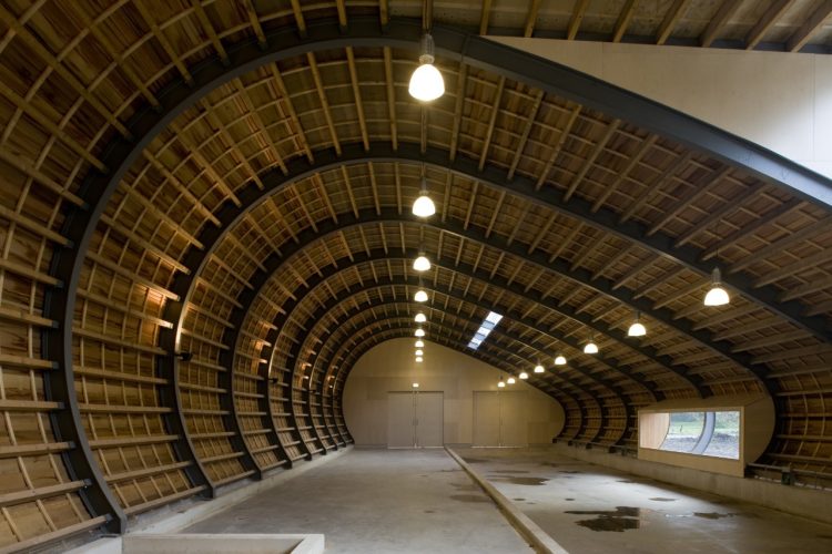 Establo para ovejas 9