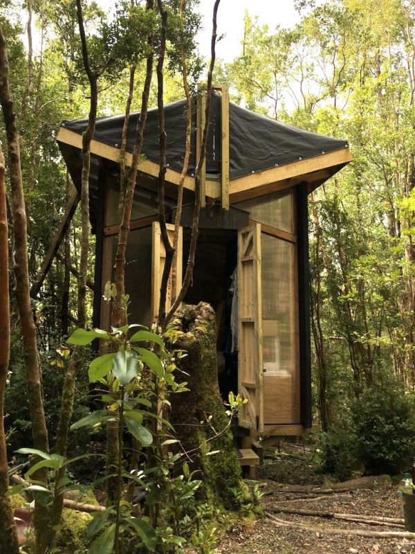 Exterior-3_PABELLON-CHUCAO-4-TERCIADOS