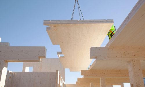 FOTO 1 HasleTre de Oslotre) 1png