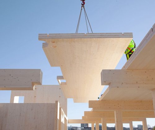 FOTO 1 HasleTre de Oslotre) 1png