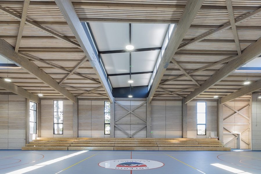 FOTOGRAFIA-PRINCIPAL-DEL-PROYECTO