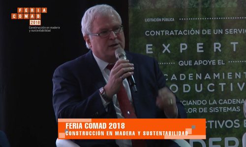 Feria-Comad-2018---Construir-el-futuro-en-madera.-(segunda-parte)
