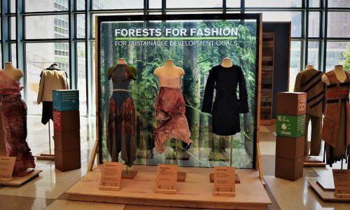 ForestForFashion-4