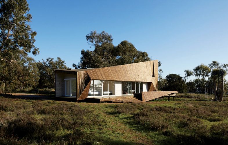 Foto_obra_Dos-Pieles-portada