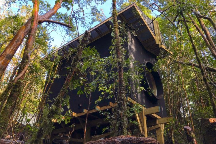 Fotografia-principal-del-proyecto_PABELLON-CHUCAO-4-TERCIADOS