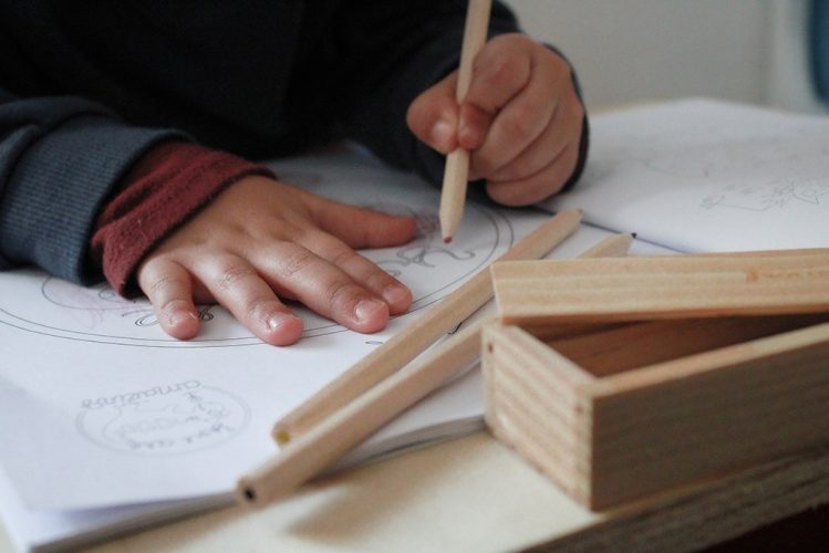 Fotografia-semana-de-la-madera