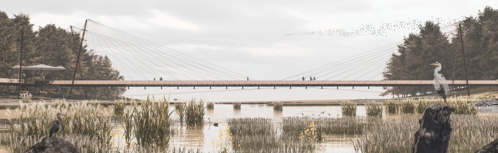 Fotomontaje-Examen-Apaisado-2