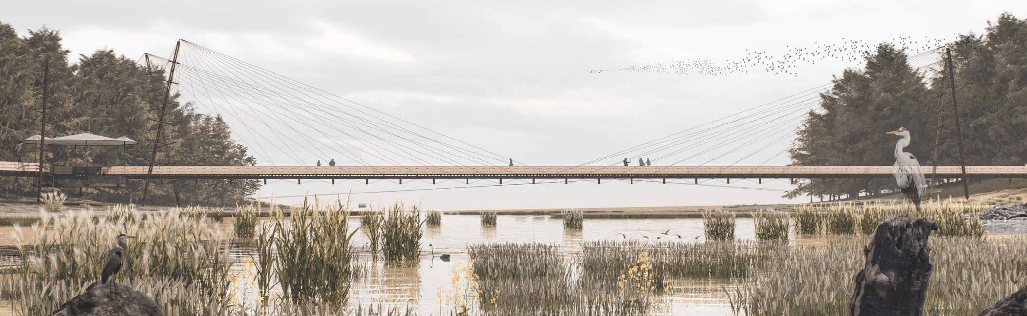 Fotomontaje-Examen-Apaisado-2