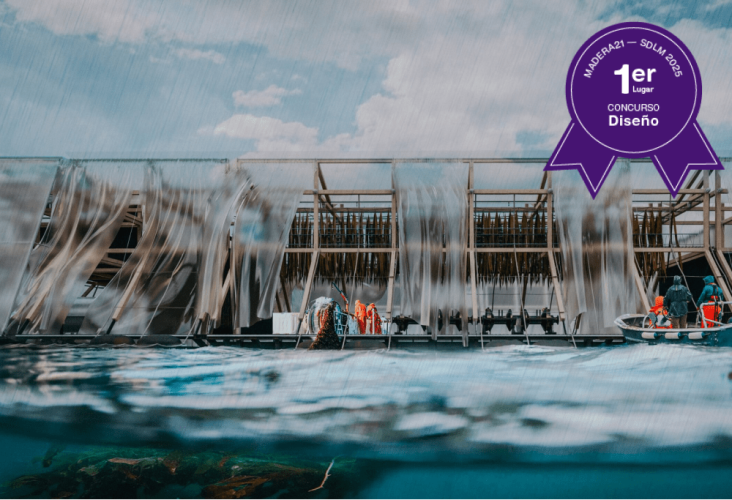 Ganador Diseño 1° 2025 m21