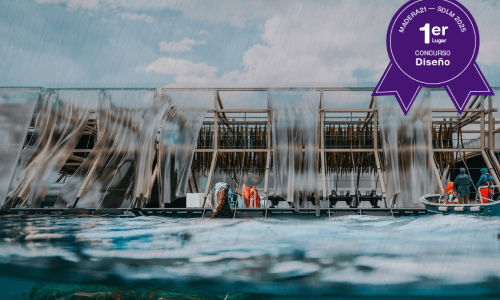 Ganador Diseño 1° 2025 m21