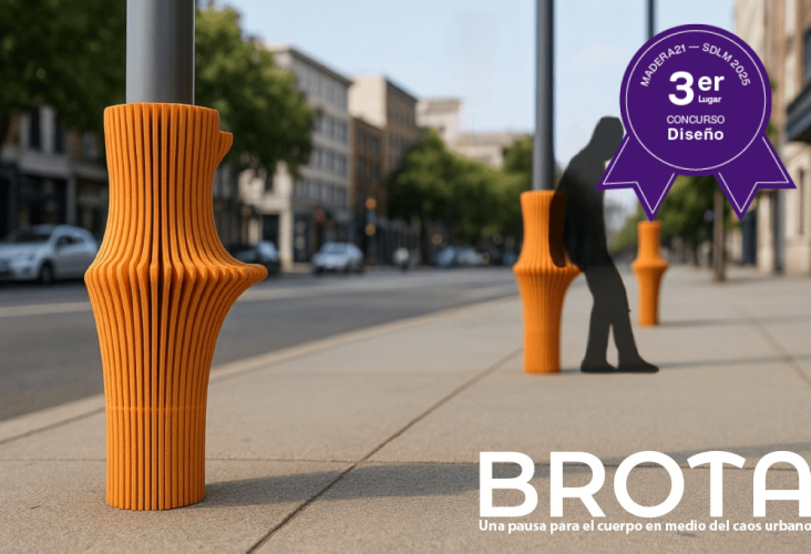 Ganador Diseño 3° 2025 m21