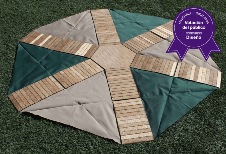 Ganador Diseño VP 2025 m21