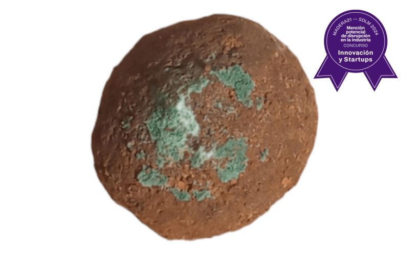 Ganador Inn mención disrupccion en la industria 2024