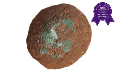 Ganador Inn mención disrupccion en la industria 2024