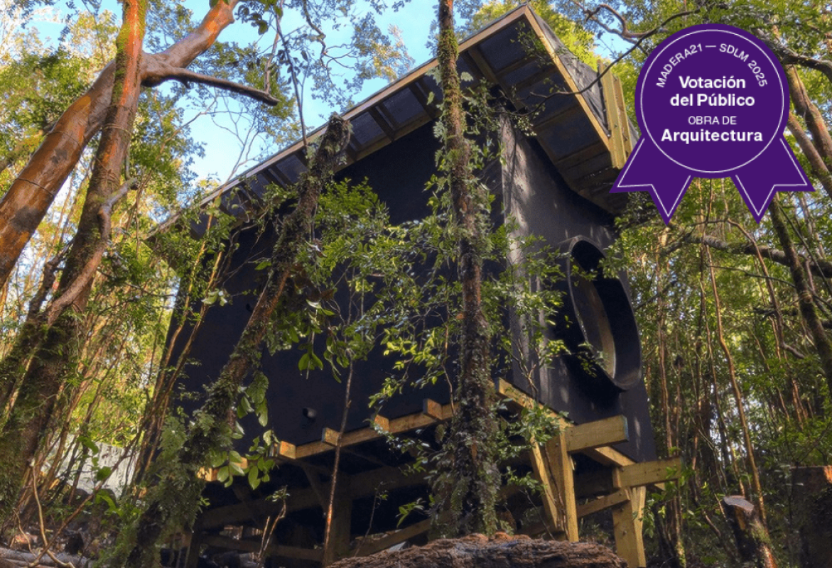 Ganador Obra VP 2025 m21